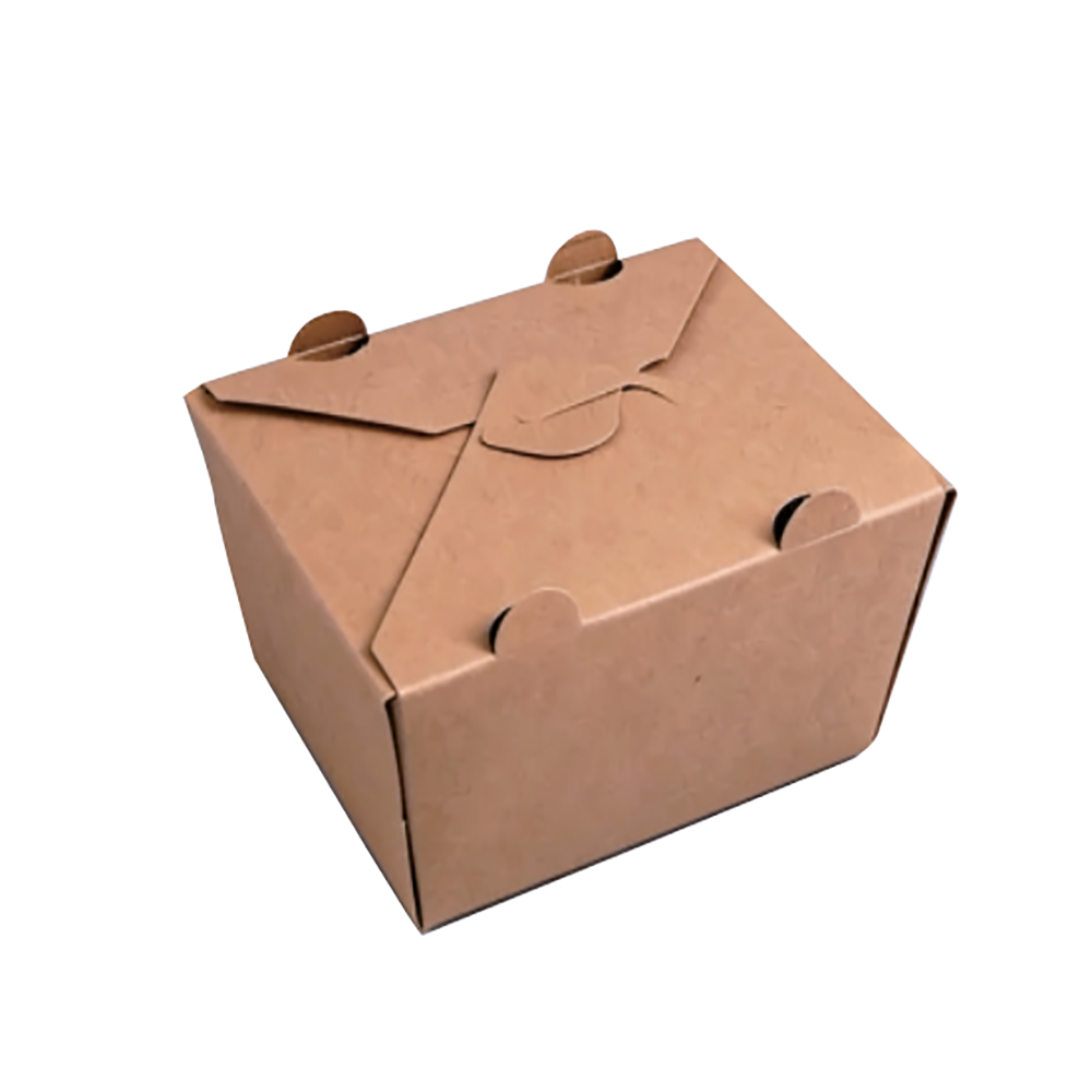 Disposable Kraft Paper Takeout Boxes